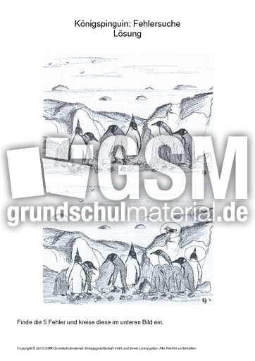 022 pinguin fehlersuche 5 lösung.pdf